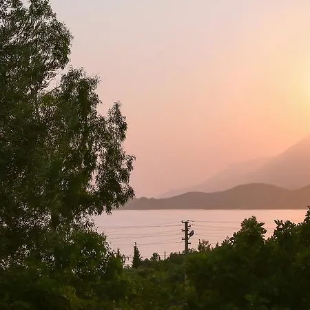 Kaktus Cakil كاس